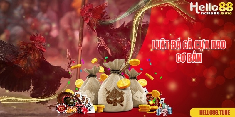 Luật đấu đơn giản, hấp dẫn áp dụng trong đá gà cựa dao